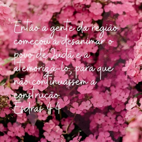 Esdras 4:4