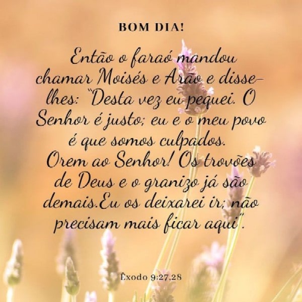 Êxodo 9:27-28