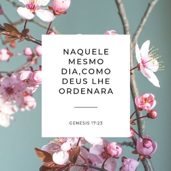 Gênesis 17:23