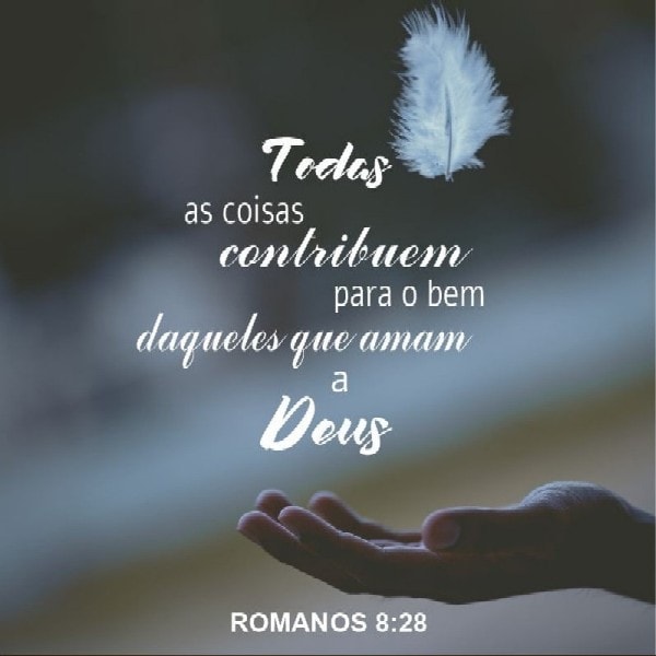 Romanos 8:28