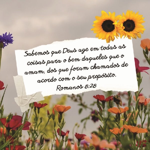 Romanos 8:28